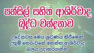 පන්සිල් සහිත ආශිර්වාද බුද්ධ වන්දනාව  BUDHDHA WANDANAWA  DAMDIYA TV [upl. by Harl702]