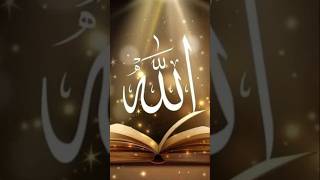 Nebi mery Hein muhammadﷺ trending love beautiful islamicstatus hijab [upl. by Silirama21]