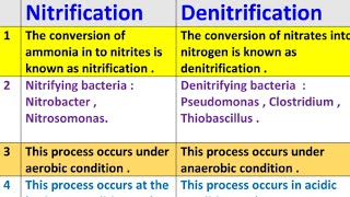 difference bwteen nitrification and denitrification  nitrification vs denitrification [upl. by Gerbold]