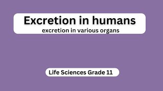 Excretion in humans – excretion in various organs [upl. by Glover322]