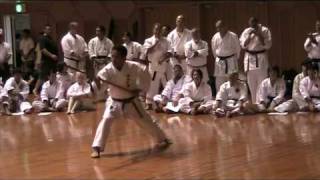 Kata TOKUMINE NO KON  Demonstration at Okinawa World Karatedo Tournament 2009 [upl. by Ybsorc]