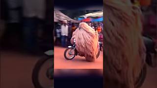 Motorized Zangbeto art yt africanart dance zangbeto [upl. by Iona]