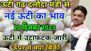 दलोदा मंडी आज का नई लहसुन का भाव 20 दिसंबर 2023 new ooty garlic rate today daloda new lahsun bhav [upl. by Anilesor822]