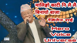 मालिङ्गो काटी नि लै लै Malingo Kati Nee Lai Lai  Jeeten Rai  Mero Voice Universe [upl. by Ennahgem]