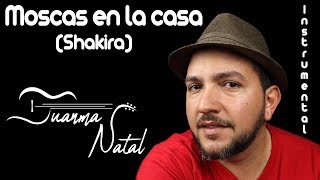 Moscas en la casa Shakira INSTRUMENTAL  Juanma Natal  Guitar  Cover  Lyrics [upl. by Ysabel]