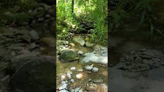 Appalachian Mountain Creeks [upl. by Faunie]