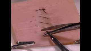 How to Perform a Simple Running Skin Closure suture travel on top [upl. by Newcomer]