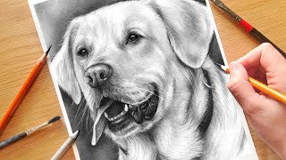 HOW TO DRAW A DOG Realistic Drawing Tutorial Step by Step  Drawing with Charcoal [upl. by Meill]