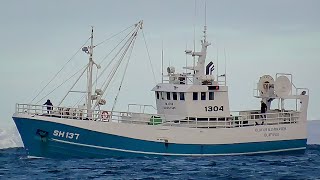 1304 Ólafur Bjarnason SH137  Fishing Vessel  Iceland [upl. by Hgieleak612]