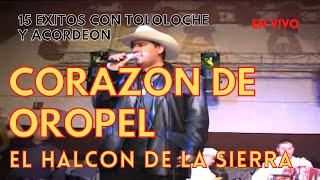 El Halcon De La Sierra  Florita Del Alma  Corazon De Oropel  EN VIVO [upl. by Attelliw]