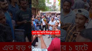 এত বড় পাখি মিরপুর ১ হাটে  মিরপুর ১ পাখির হাট  পাখি  টিয়া পাখি  Pakhi  Tiya Pakhi shorts [upl. by Gorman601]