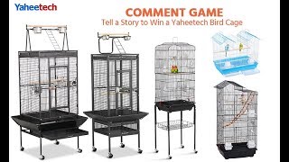 How to Choose Bird Cages [upl. by Hahcim659]