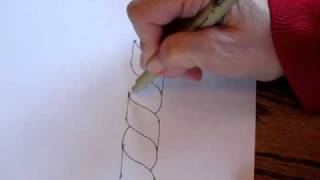 coil tangle for zentangle [upl. by Eirol874]