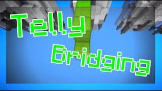 I Learned Telly Bridge with fastplace hack [upl. by Norbel]