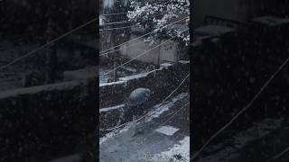 Snowfall Cinematic video of Nainital Uttarakhand [upl. by Ariat]