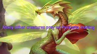 Dragon Facts  The Pyrausta [upl. by Lanti]