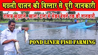 मछली पालन की विस्तार से जानकारी ।। Detail Information Of Fish Farming।। Pond Liner Fish Farming [upl. by Aehsila]