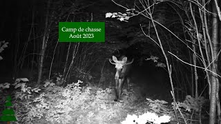 Trail cam Camp de chasse  Aout 2023 [upl. by Aret648]