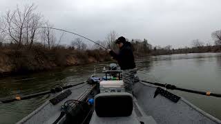 Spring steelhead fishing on the Manistee river [upl. by Tiler]