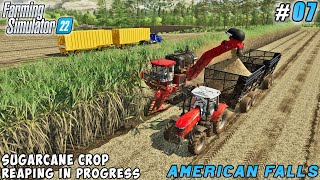 Successful Execution of the Sugar Cane Harvesting Contract  American Falls Farm  FS 22  ep 07 [upl. by Kazim650]