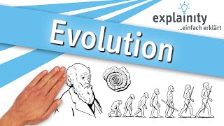 Evolution einfach erklärt explainity® Erklärvideo [upl. by Atineb]