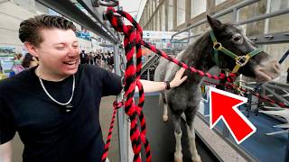 La EXPO mas grande de veterinaria en todo México y Latinoamérica [upl. by Ardnaet]