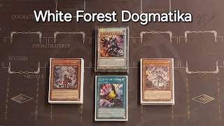 White Forest Dogmatika  Deck profile  Combos POST INFOWCQ [upl. by Ahsote]