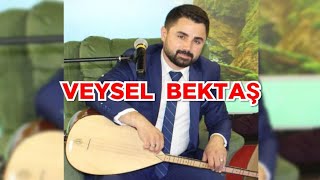 VEYSEL BEKTAŞ  Uzun hava [upl. by Lipkin]