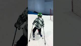 Best ski lesson ever amazing video [upl. by Enytsuj824]