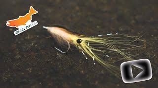 Simple Shrimp Fly That Simply Works  For Saltwater Fly Fishing [upl. by Netaf]