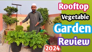 Rooftop Kitchen Gardening Review  Winter Season Vegetables Growth at Home  Gardening for Winter [upl. by Elder]