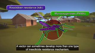 Resistance101  Multiple resistance [upl. by Shelbi]