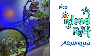 Island Reef Aquarium  1 year update [upl. by Sibylla]