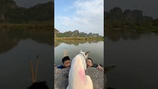 Two babies fell into the lake and luckily a dog rescued them pet Dog lovedog [upl. by Terza]