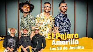 Los 50 de Joselito  EL PÁJARO AMARILLO  Historia musical 25 años [upl. by Jahdal192]