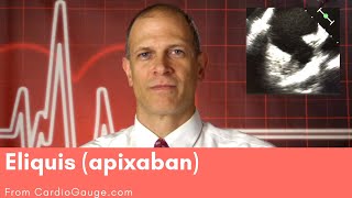 Eliquis apixaban Basics about this medicine its use effectiveness and side effects [upl. by September]