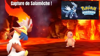 Pokémon Diamant Etincelant  On capture 🔥 Salamèche 🔥  Nintendo Switch [upl. by Riamo274]