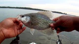 Post Spawn Crappie Fishing Lake Wateree SC [upl. by Gaudet528]