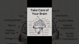 Are You Taking Care Of Your Brain 🧠💗everydayshorts youtubeshorts viralshort subscribe [upl. by Ecissej963]