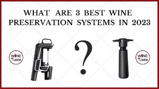 Best wine preservation systems in 2023 Coravin Vacu Vin and more [upl. by Elleda345]