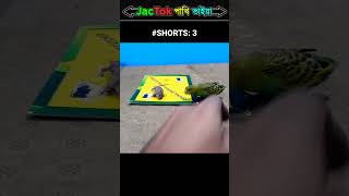 quotNo অর্থ হ্যাঁ quotTranslated By Picachu 😜 Jactok পাখি ভাইয়া ⚡ shorts jactok [upl. by Eicyac]