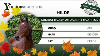 Hilde IN THE AUTUMN YOUHORSEAUCTION BREEDING 2  NOVEMBER 5 amp 6 [upl. by Aniala267]