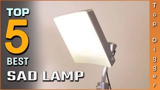 Best Sad Lamps Review in 2023  Buying Guide For All Budgets [upl. by Ahsiuqal]