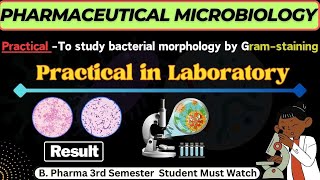 To study bacterial morphology by gram staining  lab practical  labVideo [upl. by Jacobo252]