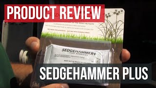 Nutsedge Killer Sedgehammer Plus Herbicide Control Nutsedge in your Lawn [upl. by Bertero]