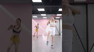 Aerobic Dance Workout [upl. by Etterb]