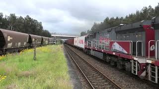 5194 at sandgate 10 43 with CM3312 PHC001 PHC002 on 11 11 24 [upl. by Nauqal263]