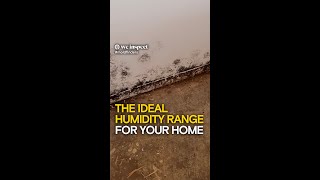 The Ideal Humidity Range For Your Home [upl. by Walley]