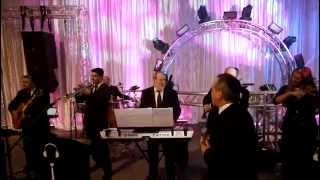 Jewish Wedding Band in Miami Florida playing the Hora [upl. by Raab]