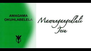 AMAGAMA OKUHLABELELAMAWUNGANGEDLULI JESU  PASS ME NOT O GENTLE SAVIOUR IN ZULU [upl. by Atilahs348]